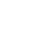 Icon5